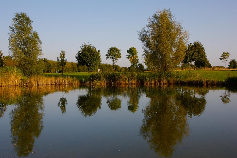 golf-club-clostermannshof-leading-memeber-card-rheinland-4-von-6